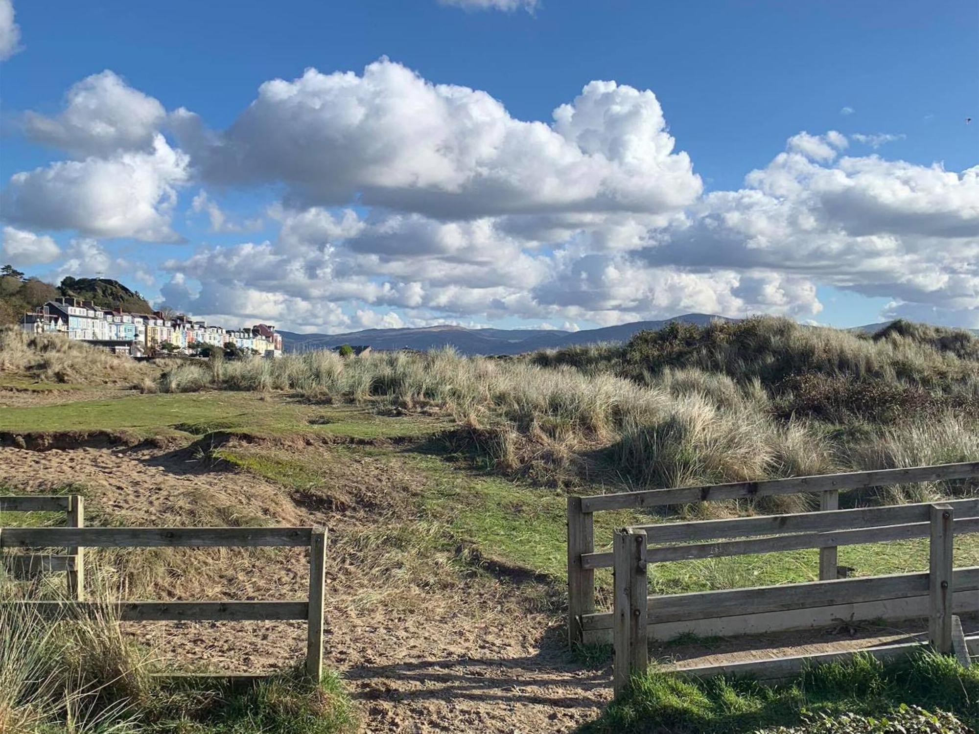 Driftwood Villa Aberdyfi Exterior foto